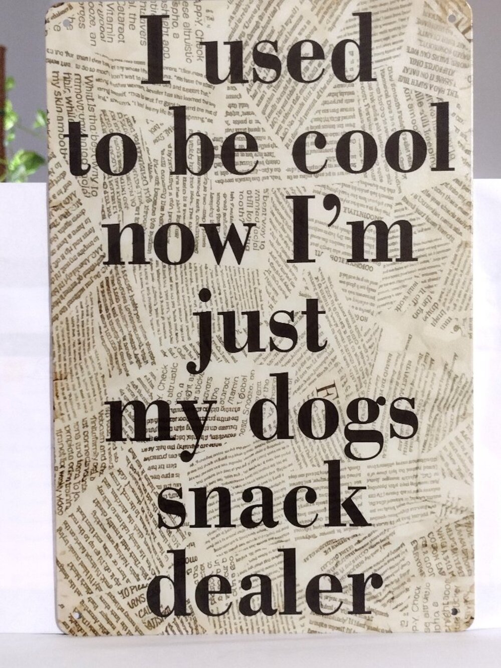 Metal Sign I Used to Be Cool Now Just My Dogs Snack Dealer Funny Gift Furbaby